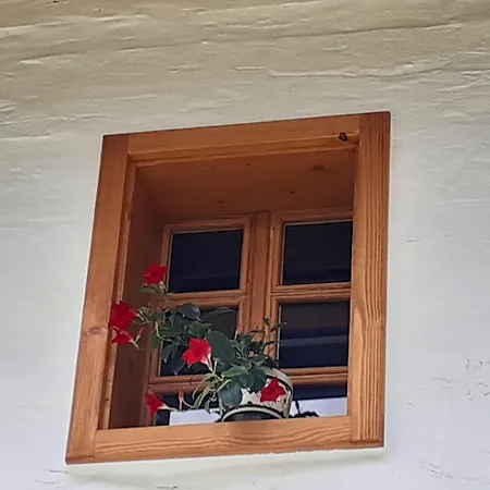 Pajek & Pajcevina On The Hayrack בקתה