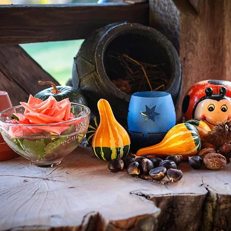 Pajek & Pajcevina On The Hayrack 샬레 Dobje pri Lesicnem