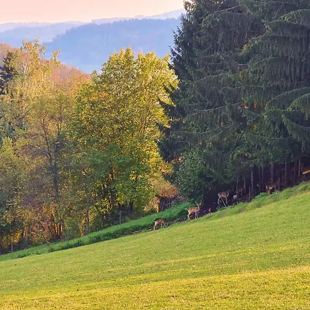 Pajek & Pajcevina On The Hayrack 샬레 Dobje pri Lesicnem