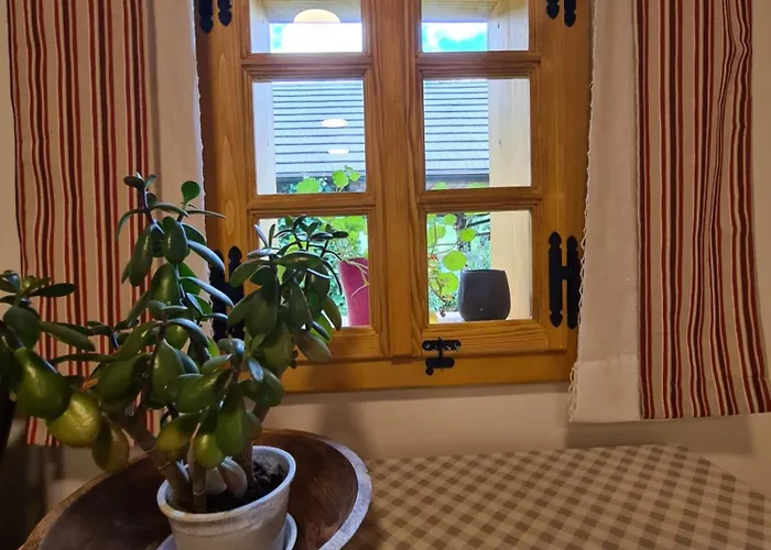 Chalé Pajek & Pajcevina On The Hayrack *