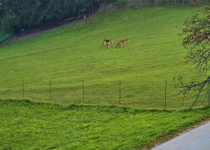 Pajek & Pajcevina On The Hayrack Chalé Dobje pri Lesicnem
