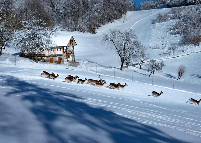 Pajek & Pajcevina On The Hayrack Chalé
